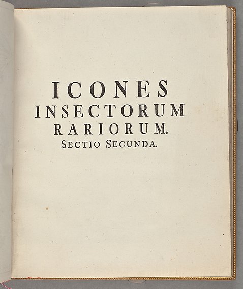 Foto av blad i boken, med latinska texten &quot;Icones insectorum rariorum, sectio secunda&quot;.